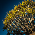 Namibia