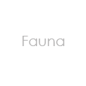 fauna